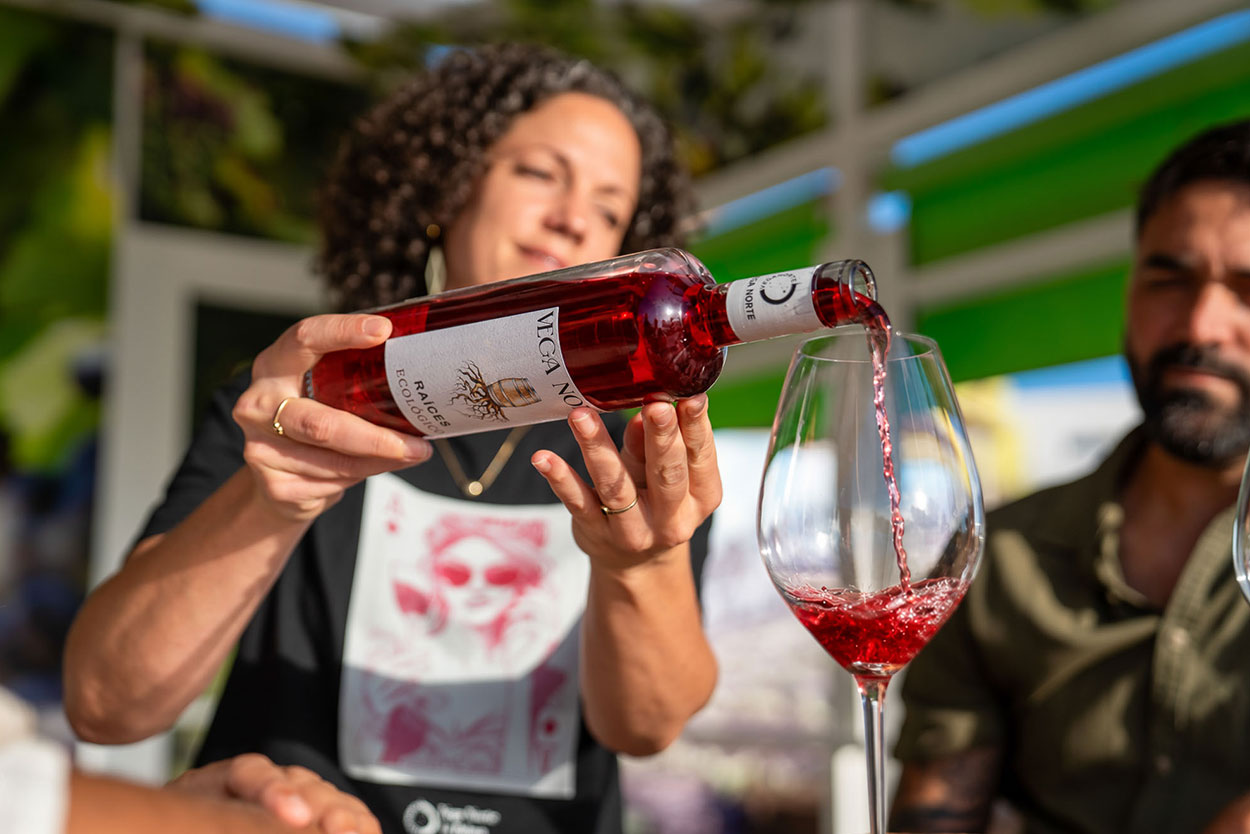 cata-vinos-veganortelapalma