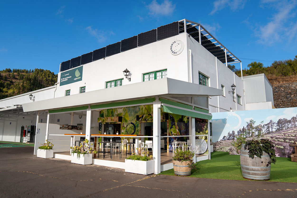 veganorte-tijarafe
