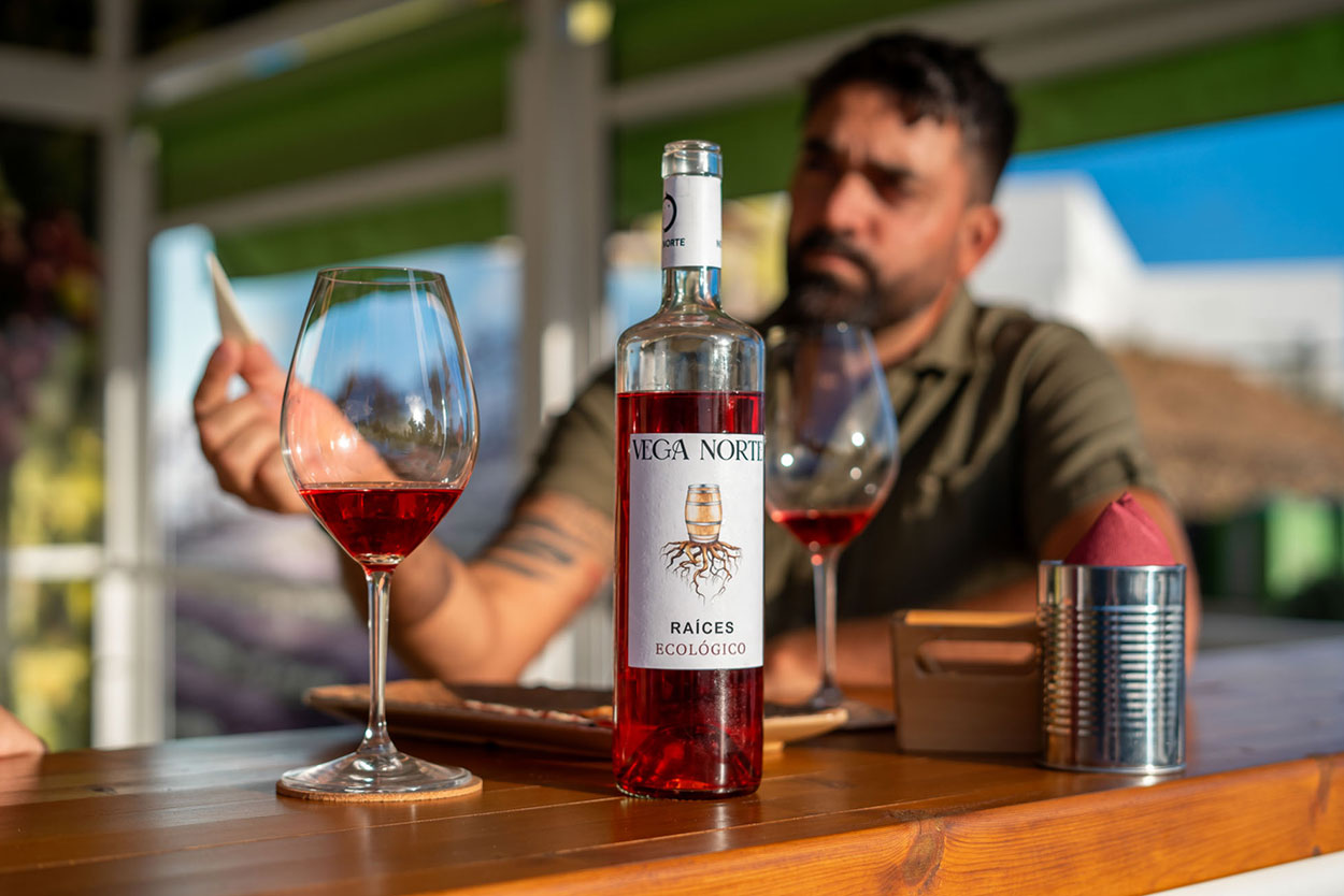 vino-rosado-veganorte
